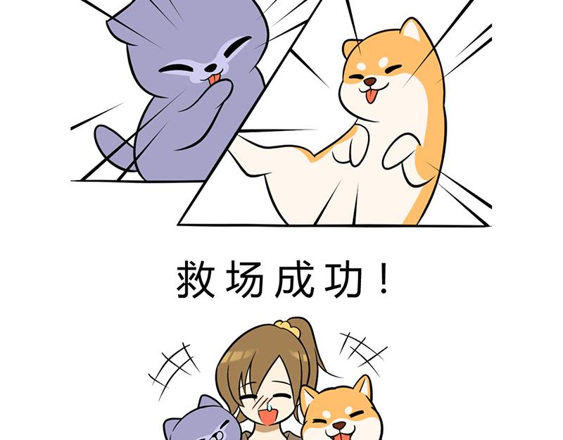 《花生社区》阿喵的作战计划！ 第14页
