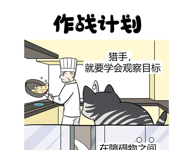 《花生社区》阿喵的作战计划！ 第1页