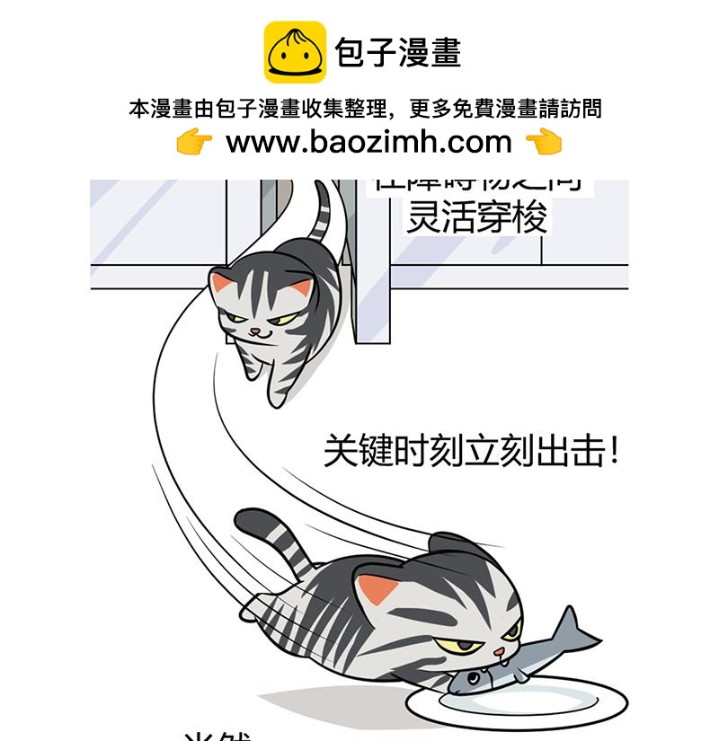 《花生社区》阿喵的作战计划！ 第2页