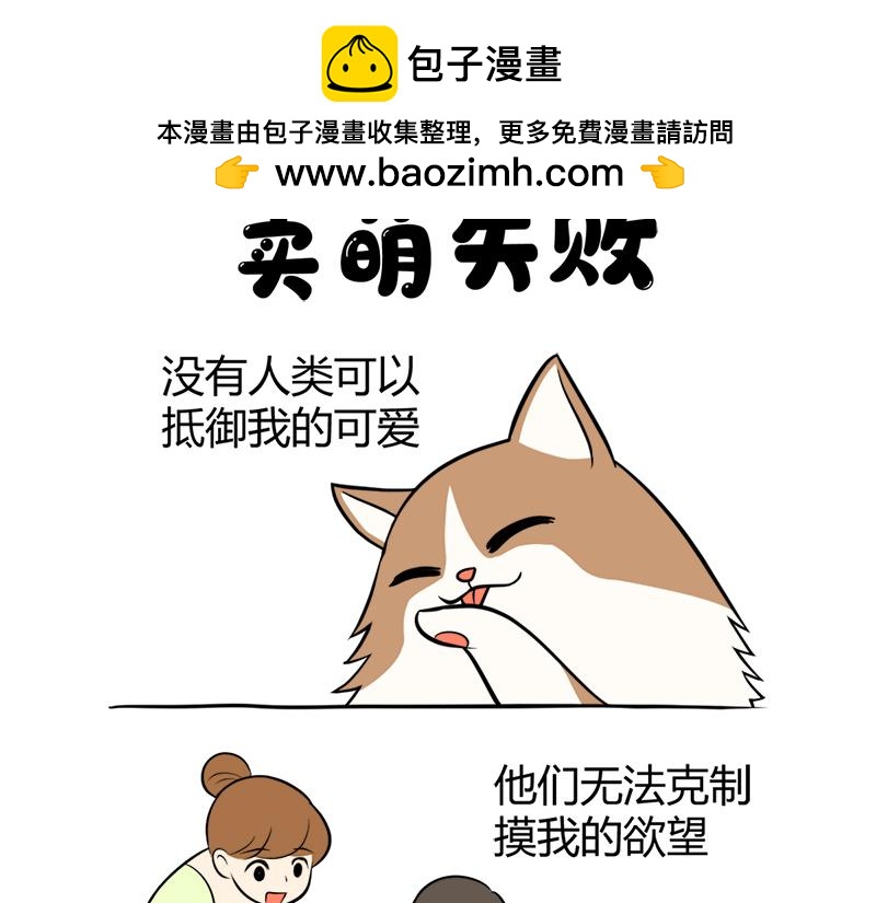 《花生社区》阿喵的作战计划！ 第4页