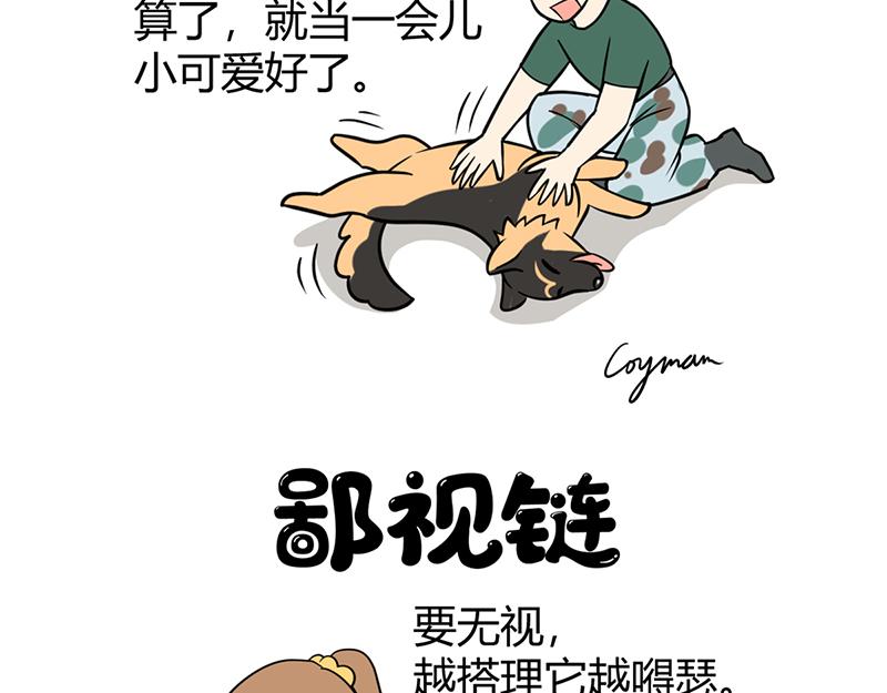 《花生社区》阿喵的作战计划！ 第9页