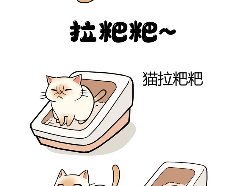 《花生社区》最好的苹果皮给最好的狗子！ 第10页