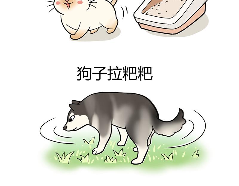 《花生社区》最好的苹果皮给最好的狗子！ 第11页