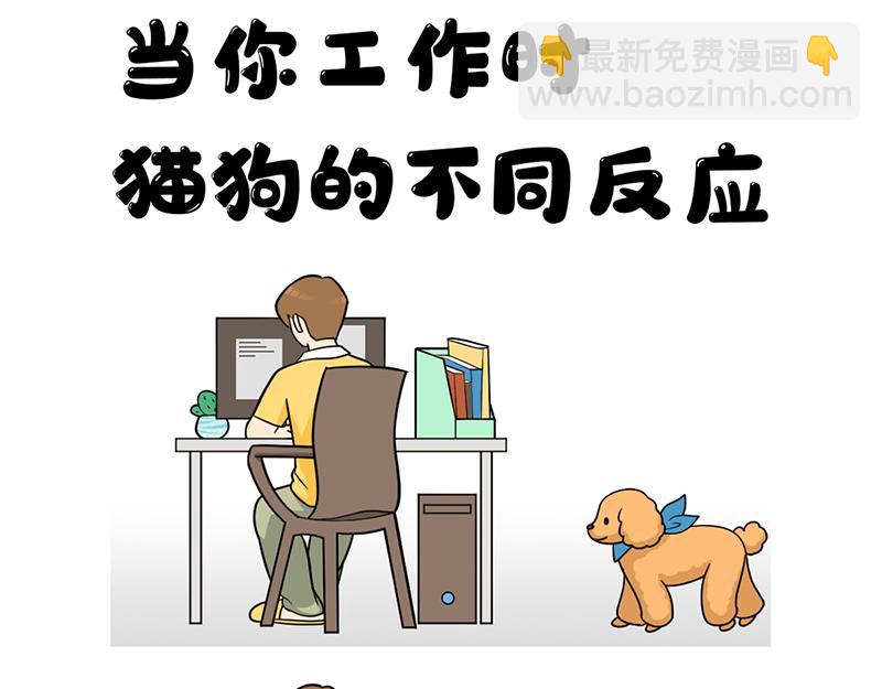 《花生社区》最好的苹果皮给最好的狗子！ 第18页