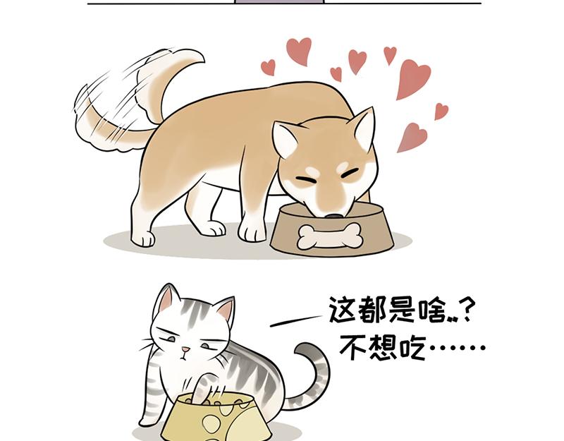 《花生社区》最好的苹果皮给最好的狗子！ 第23页