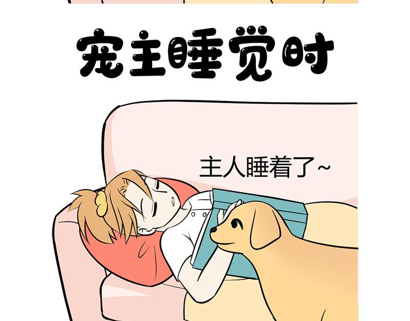 《花生社区》最好的苹果皮给最好的狗子！ 第6页