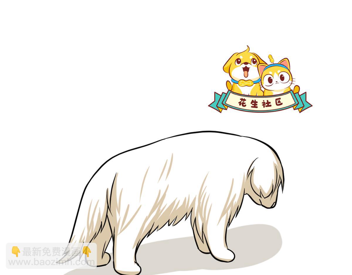 《花生社区》有谁能抵挡美食的诱惑呢？ 第5页