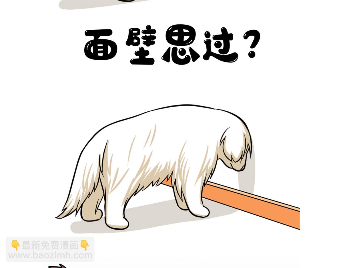 《花生社区》有谁能抵挡美食的诱惑呢？ 第6页