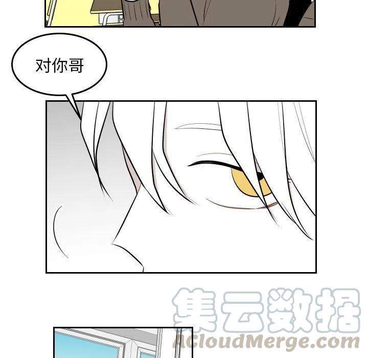 《沉默的书香社》46 第7页