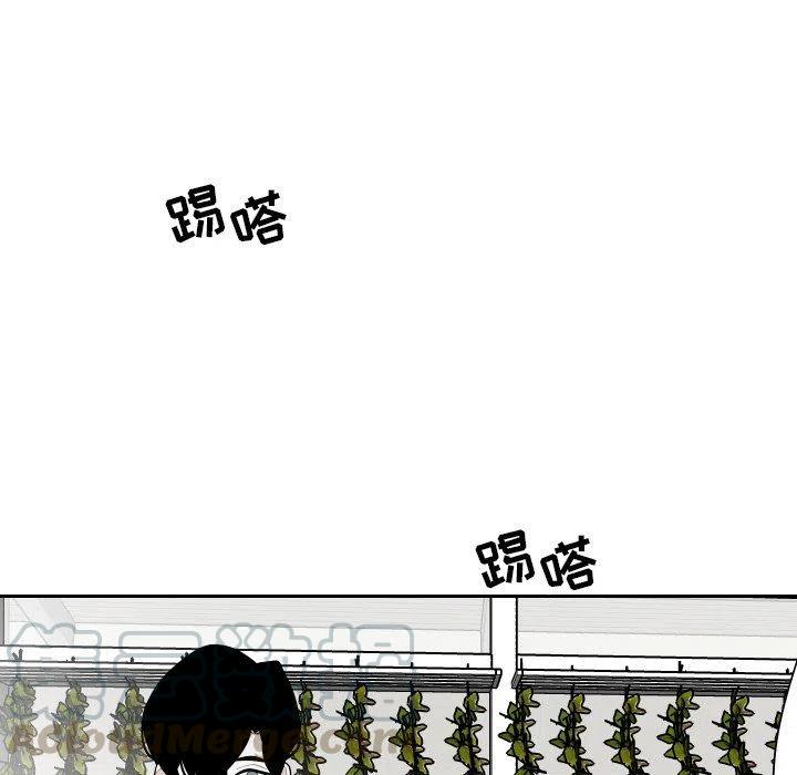 《沉默的书香社》77 第25页