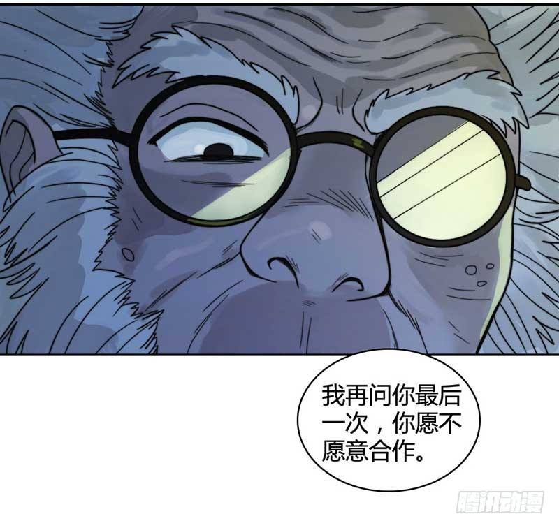 《只手遮天》裴容是谁？ 第12页