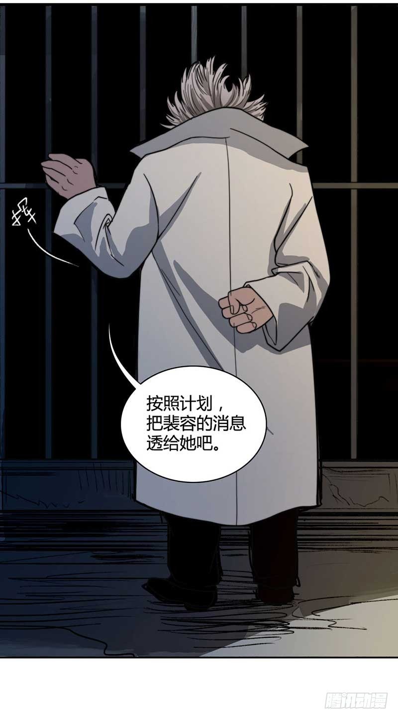 《只手遮天》裴容是谁？ 第15页