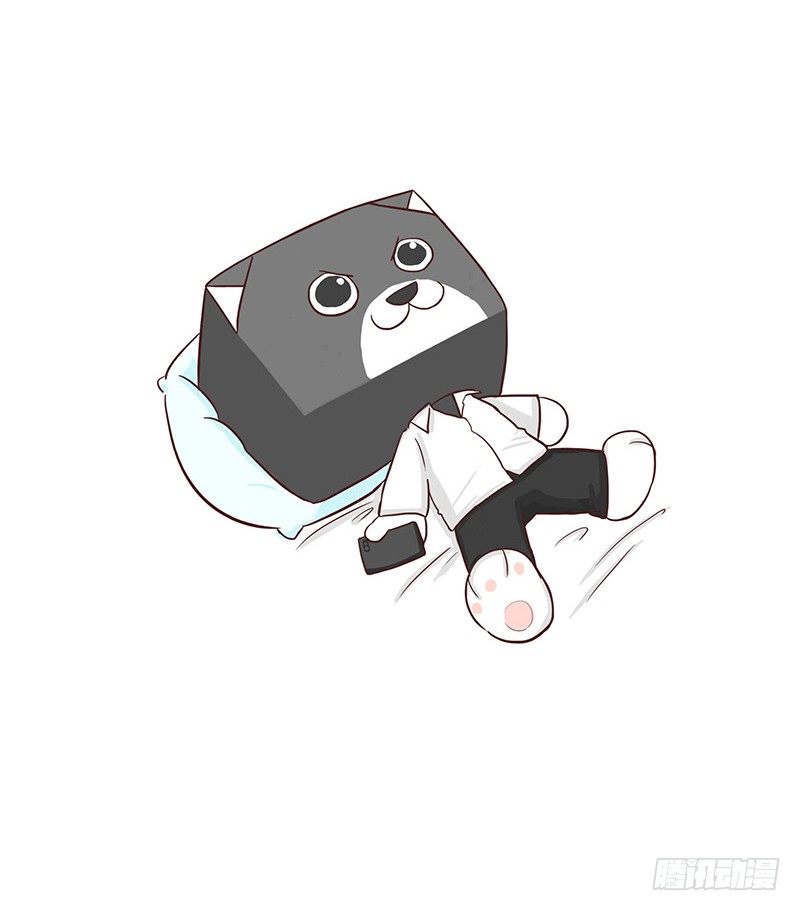 《十三生笑》首单 第10页