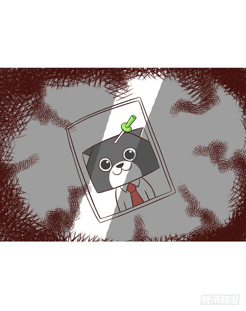 《十三生笑》秘密 第7页