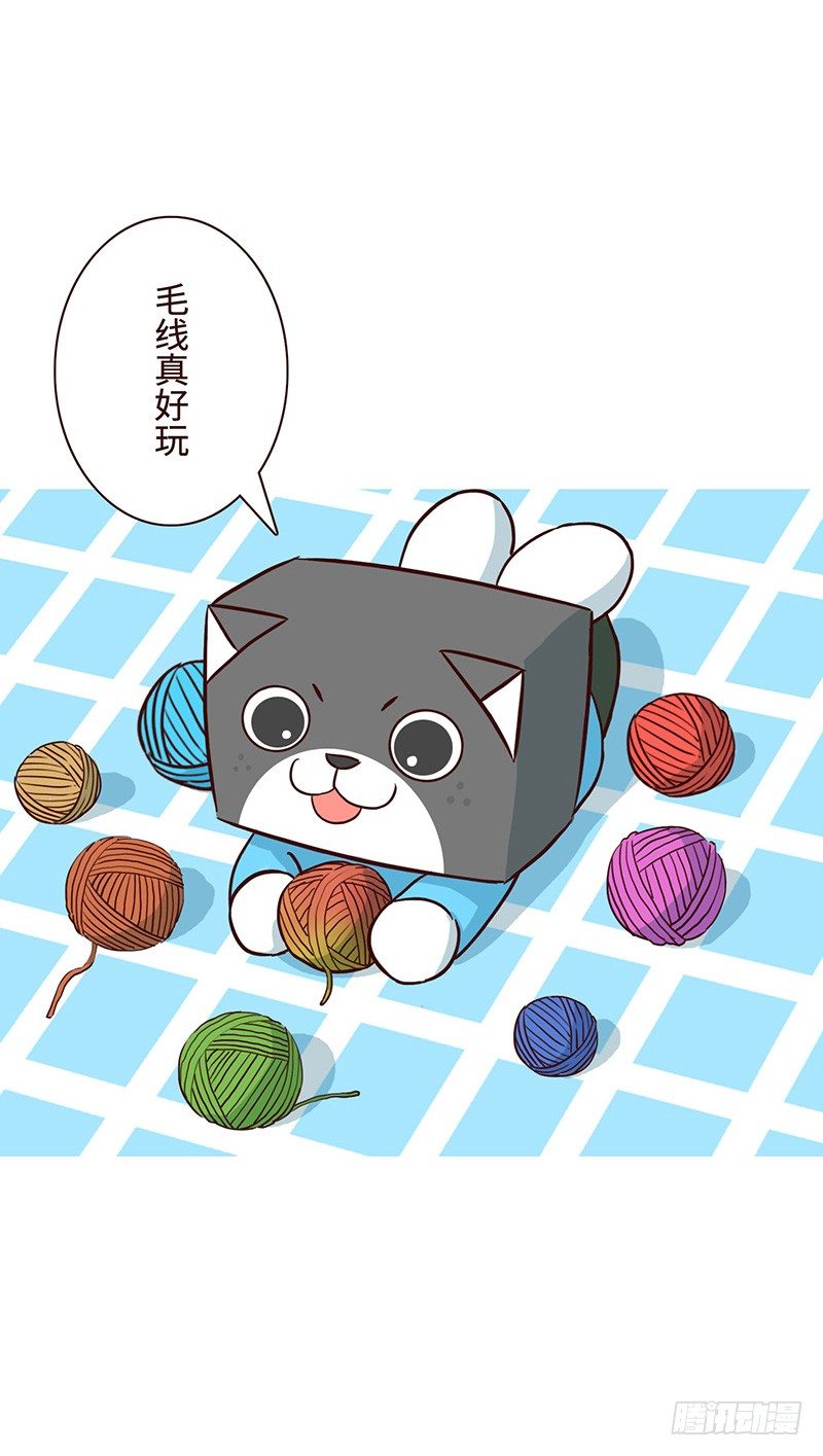《十三生笑》毛线 第7页