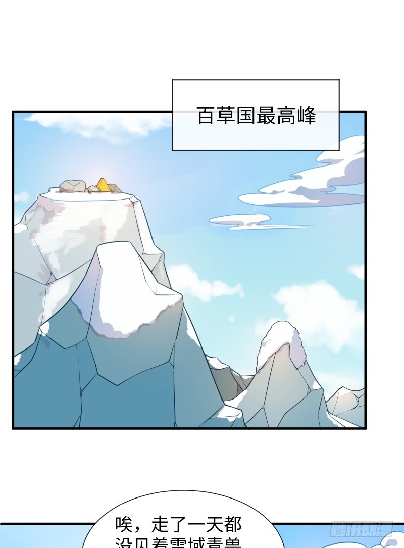 《最强开挂玩家》神秘百草国 第30页