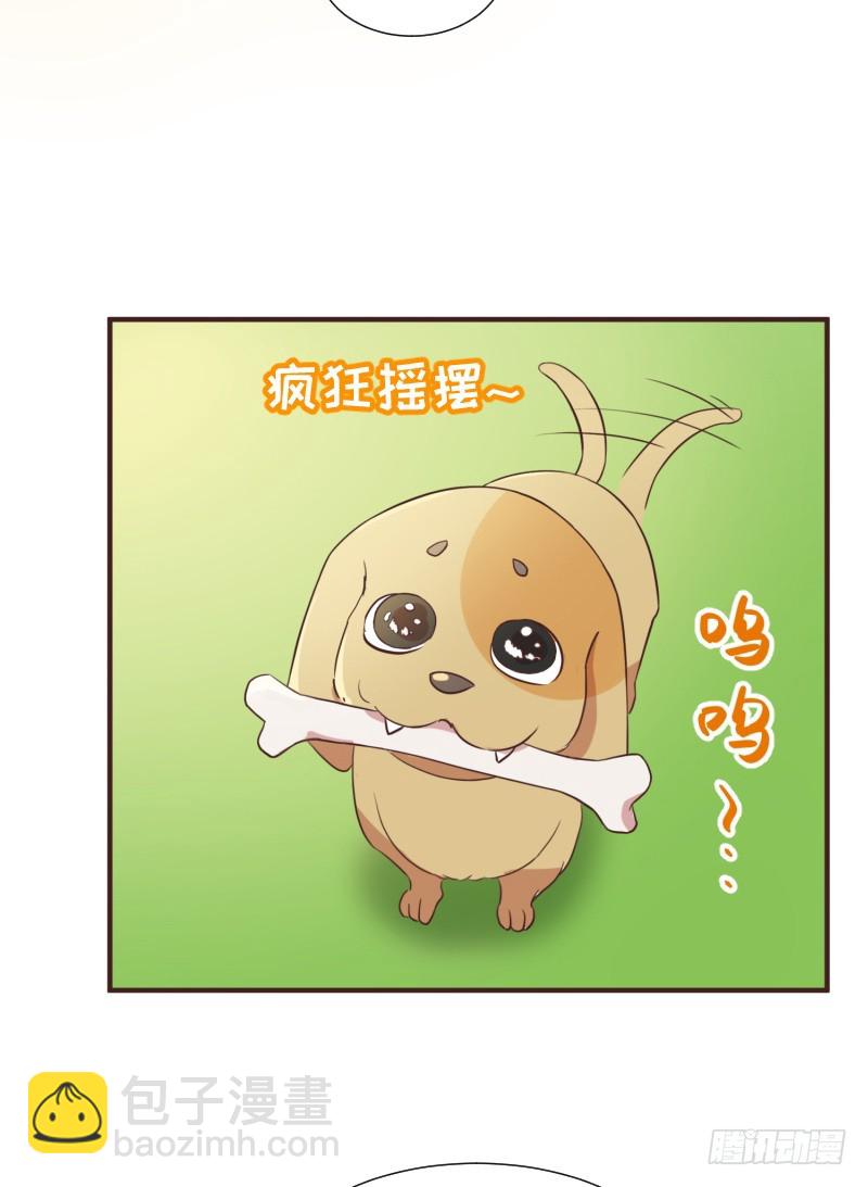 《最强开挂玩家》十年前的阴谋 第5页