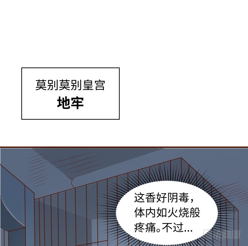 《最强开挂玩家》哥的武功废不掉 第47页