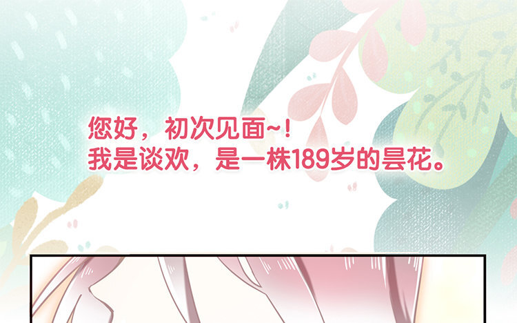 《我家昙花是爱豆》1 新作预告 第1页