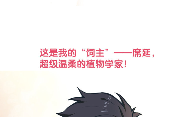 《我家昙花是爱豆》1 新作预告 第6页