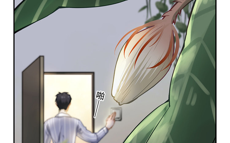 《我家昙花是爱豆》2 第01话 昙花与饲主 第34页