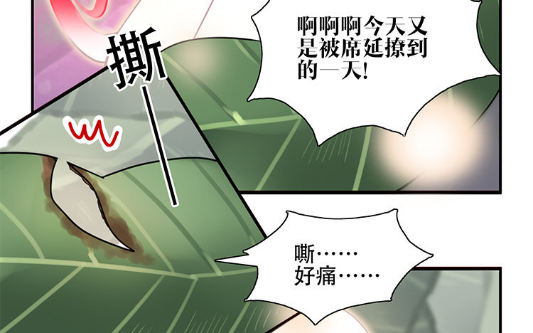 《我家昙花是爱豆》2 第01话 昙花与饲主 第48页