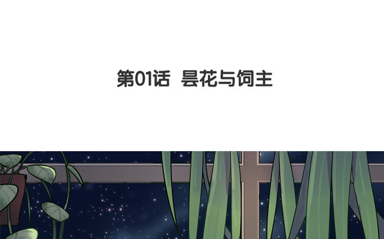 《我家昙花是爱豆》2 第01话 昙花与饲主 第5页
