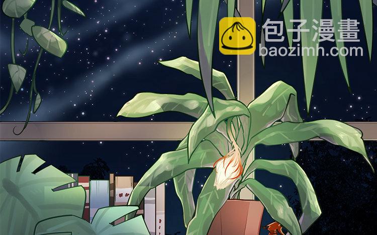 《我家昙花是爱豆》2 第01话 昙花与饲主 第6页