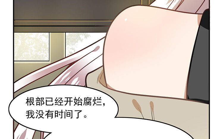 《我家昙花是爱豆》12 第11话 腐烂的昙花根部 第24页