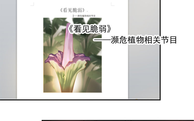 《我家昙花是爱豆》13 第12话 《看见脆弱》 第20页