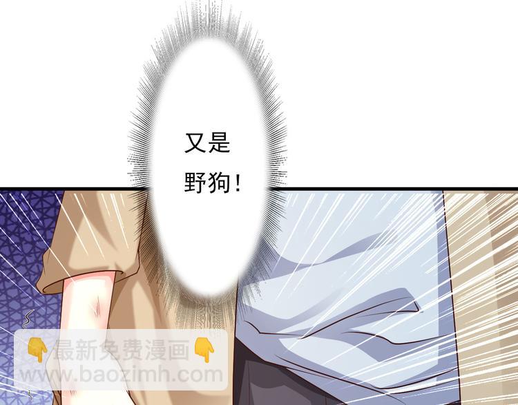 《报告Boss夫人又逃了》第5话 第29页