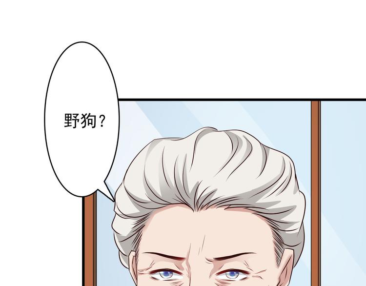《报告Boss夫人又逃了》第13话 第29页