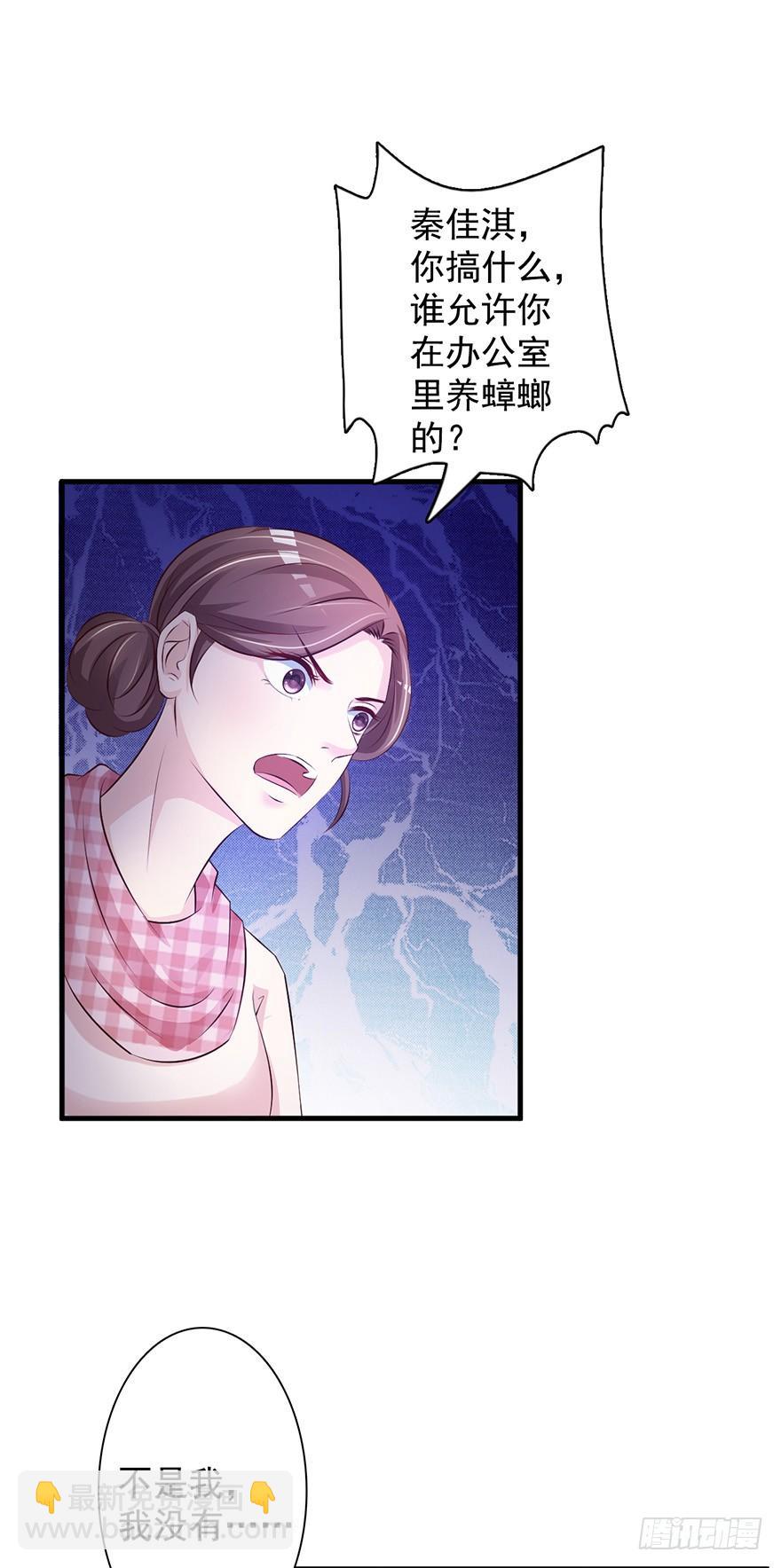 《报告Boss夫人又逃了》第48话 第11页