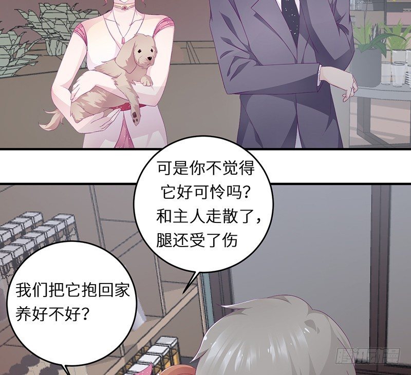 《命中注定你是我的》第18话 找到狗主人 第4页