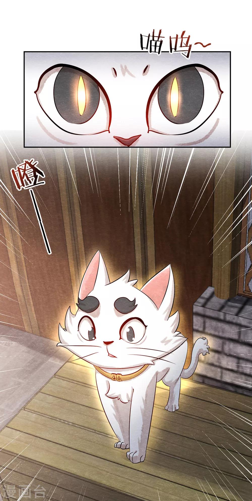 《杨戬》第3话 变变变！我是猫啦 第10页