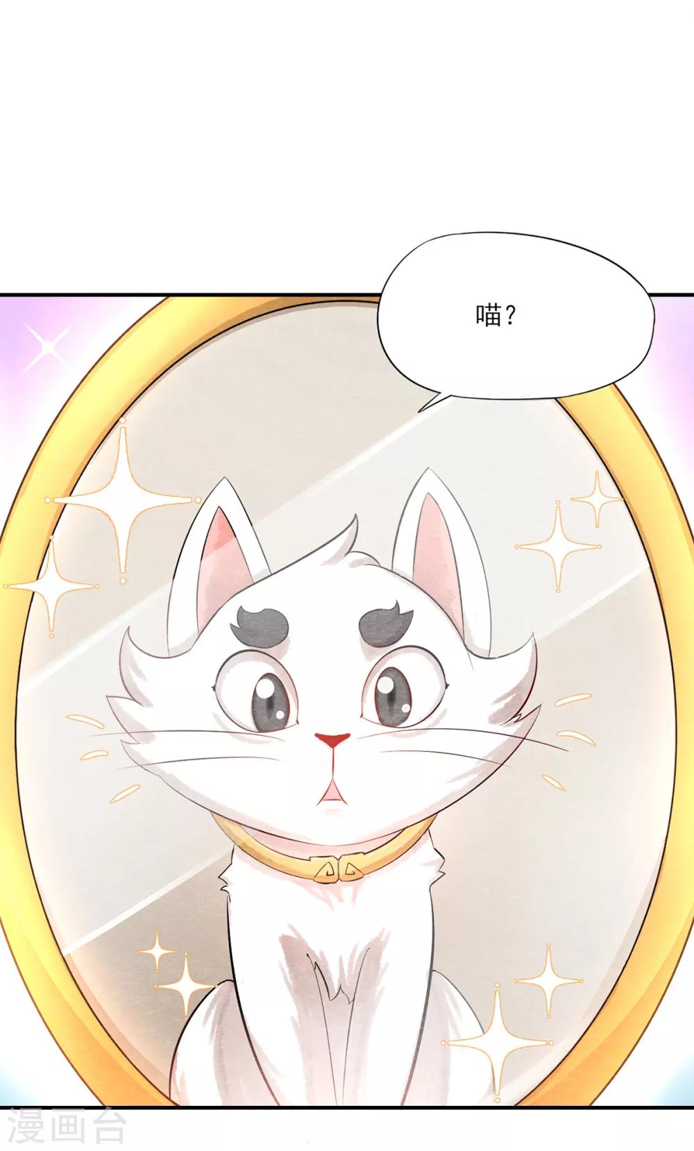《杨戬》第3话 变变变！我是猫啦 第12页