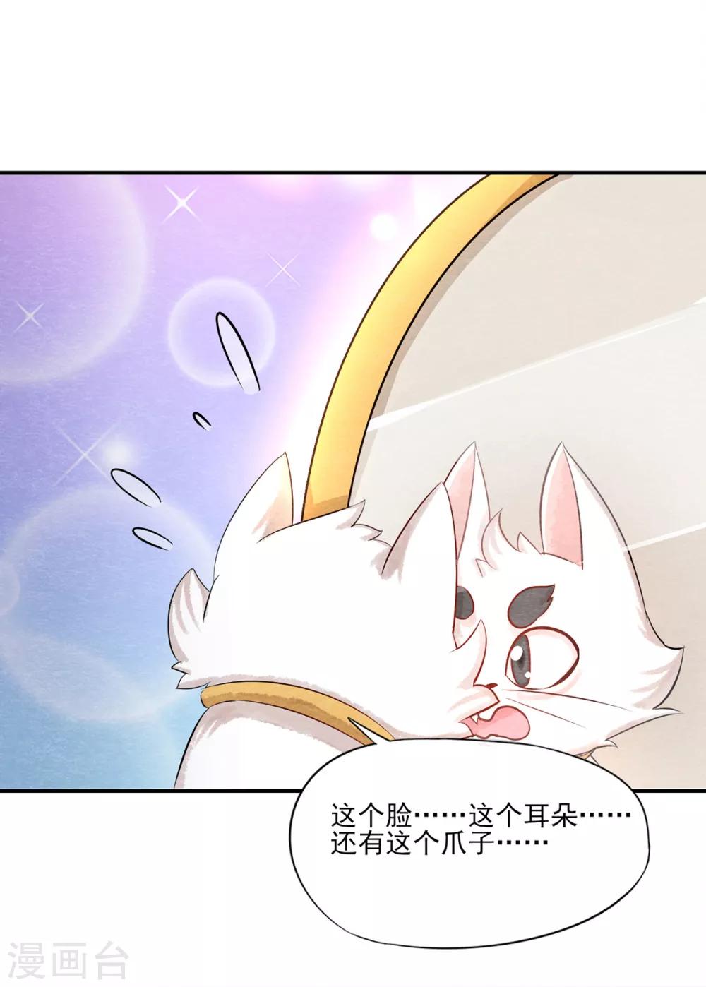 《杨戬》第3话 变变变！我是猫啦 第13页