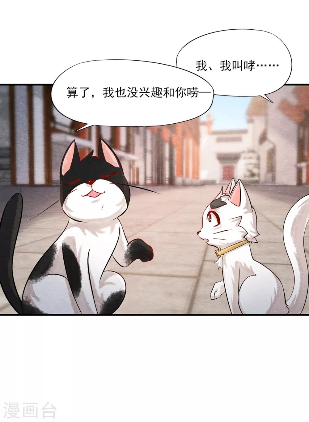《杨戬》第3话 变变变！我是猫啦 第28页