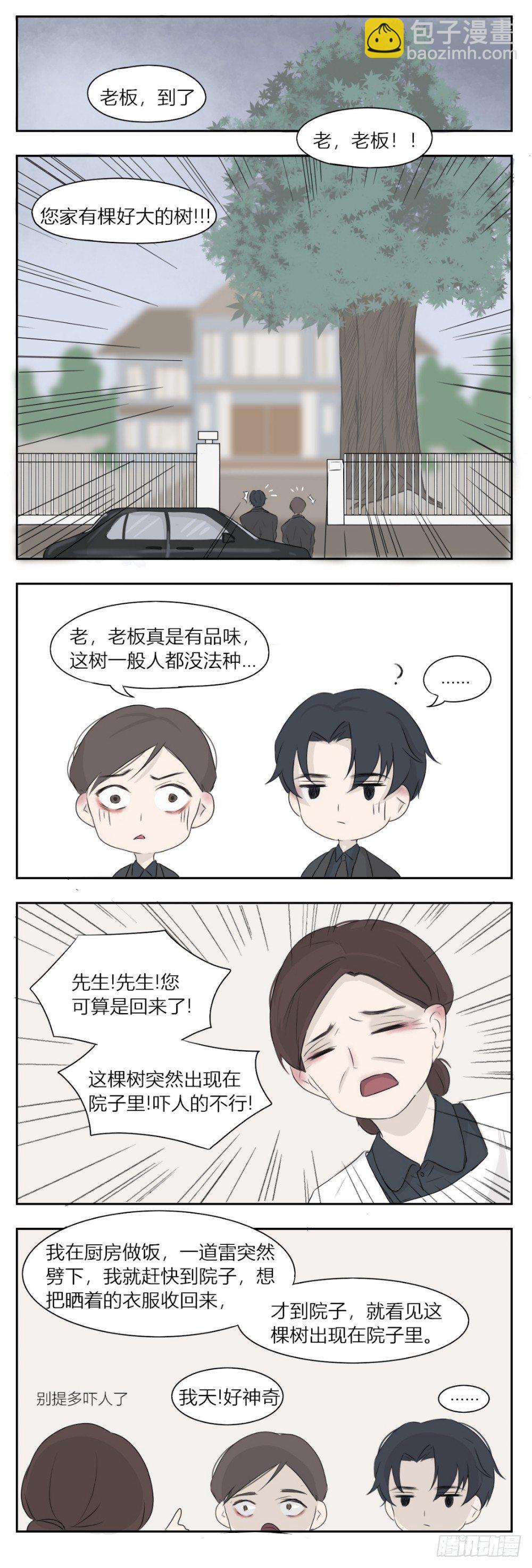 《一个树精》好大一棵树 第2页