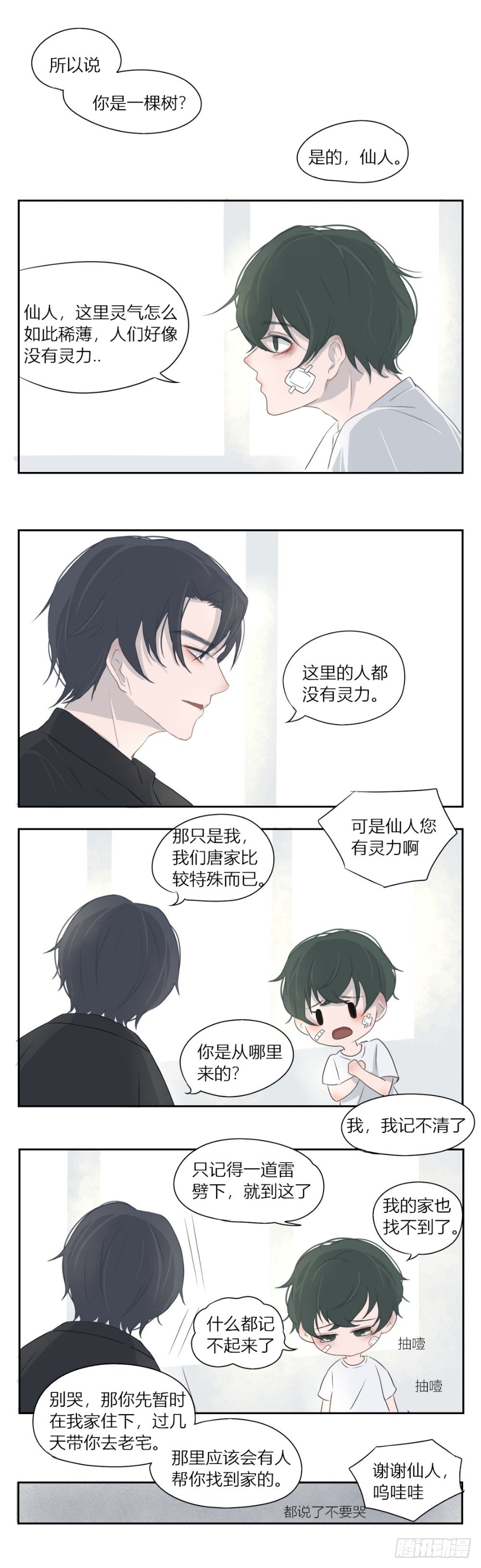 《一个树精》一个树精 第1页