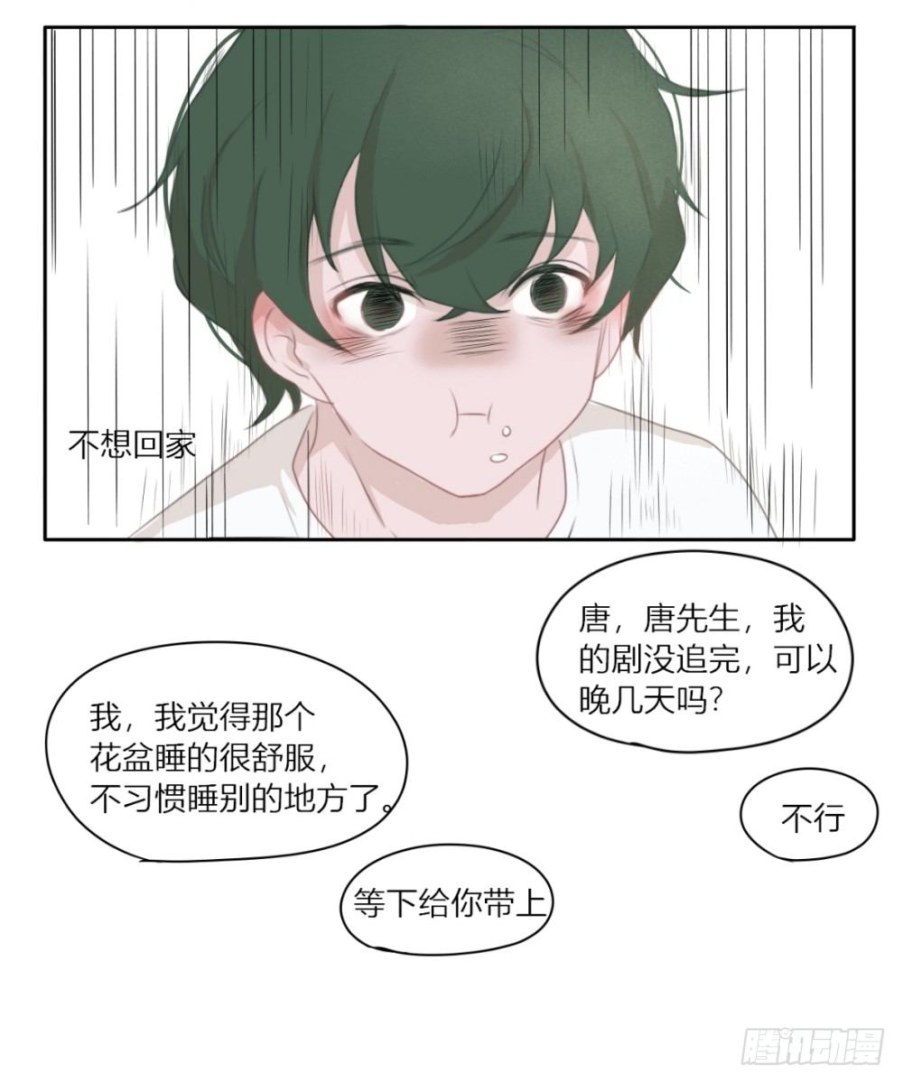 《一个树精》不想回家了 第4页