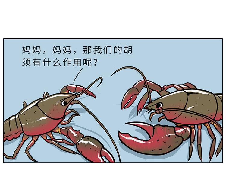 《栎5-416》小龙虾（1） 第10页