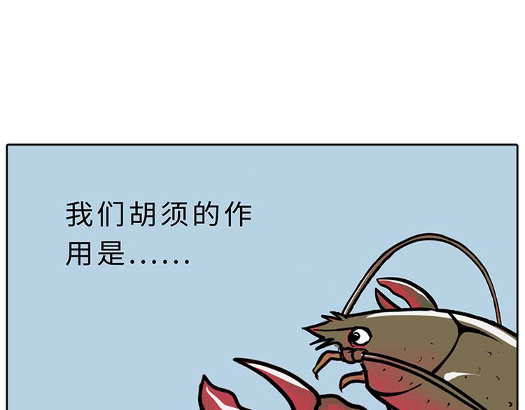 《栎5-416》小龙虾（1） 第11页