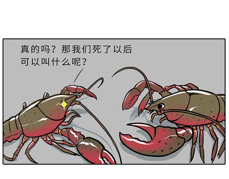 《栎5-416》小龙虾（1） 第19页