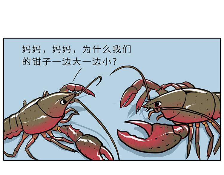 《栎5-416》小龙虾（1） 第4页