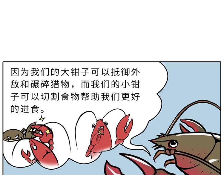 《栎5-416》小龙虾（1） 第5页