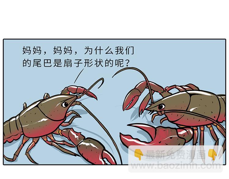 《栎5-416》小龙虾（1） 第7页