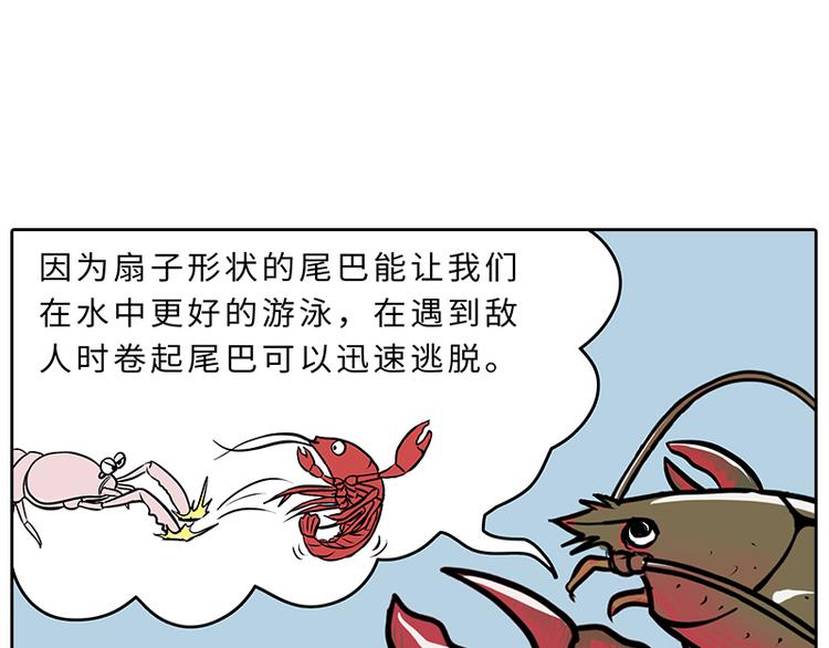 《栎5-416》小龙虾（1） 第8页