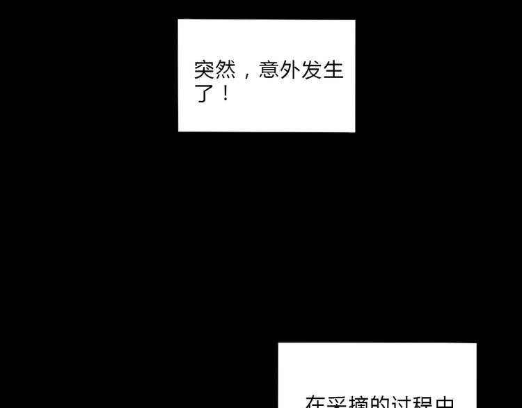 《黑羽之吻》第6话 少年往事 第8页