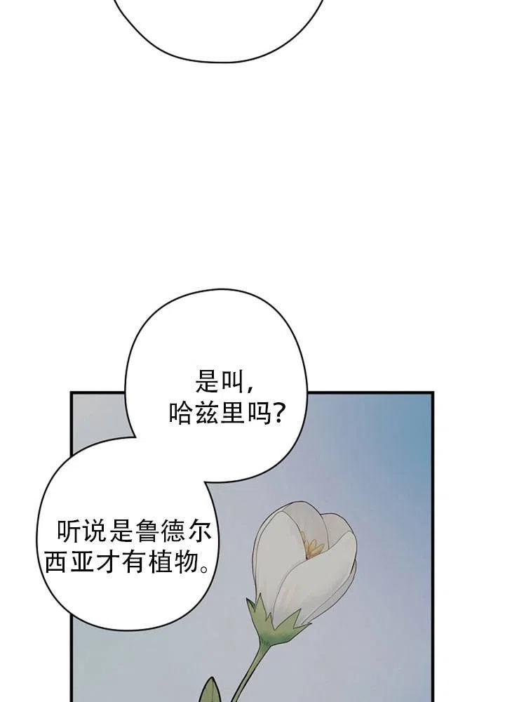 《随风起舞的花朵》第48话 第20页